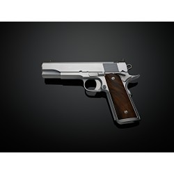 Alchemy Prime Elite 1911 Hard Chrome .45 ACP