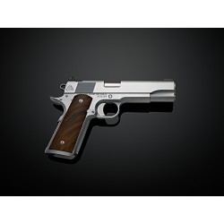 Alchemy Prime Elite 1911 Hard Chrome .45 ACP